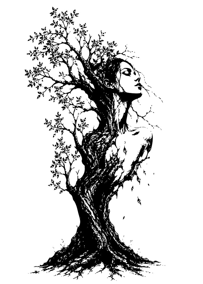 Woman Merged with Tree Illustration