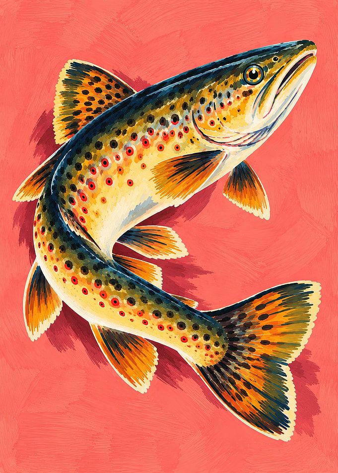Brown Trout Poster – Freshwater Fishing Wall Art