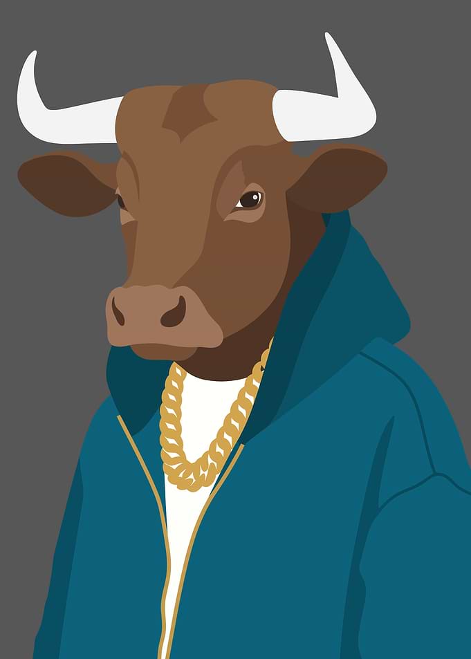 Cool Bull in Blue Hoodie