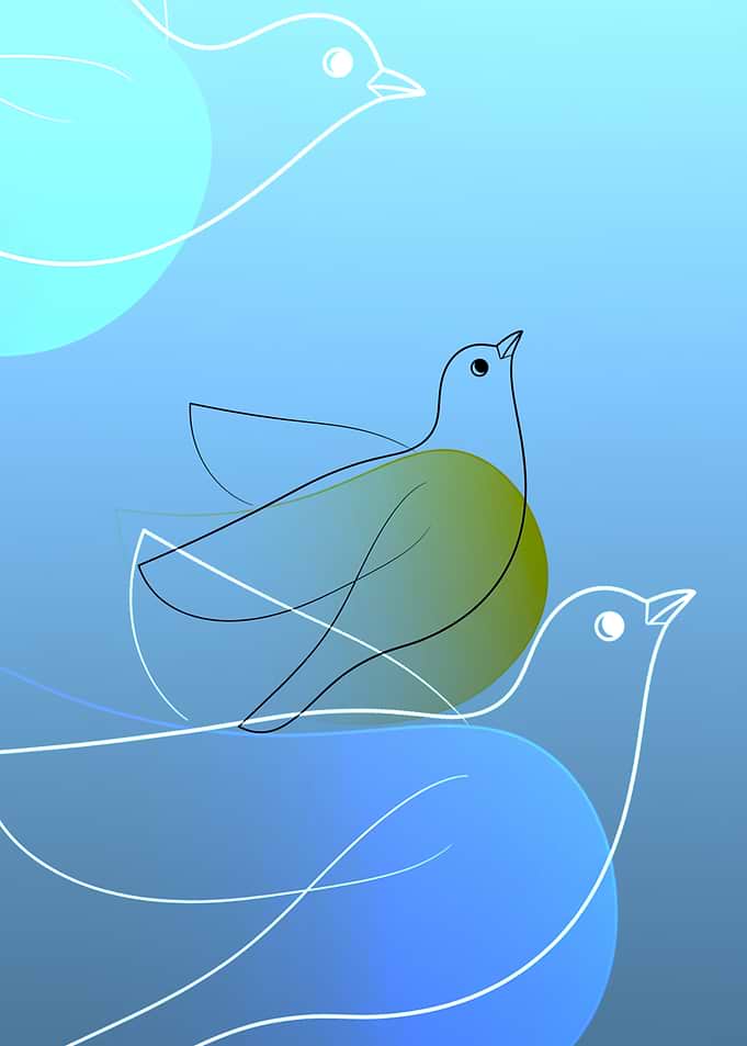 Minimalist Line Art Birds