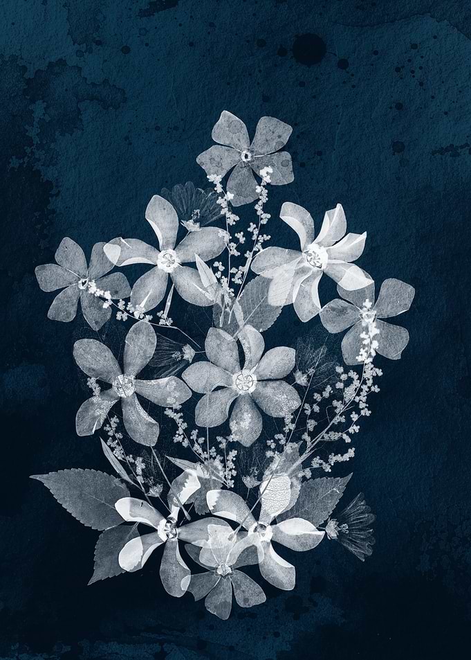Cyanotype Botanical Floral Print