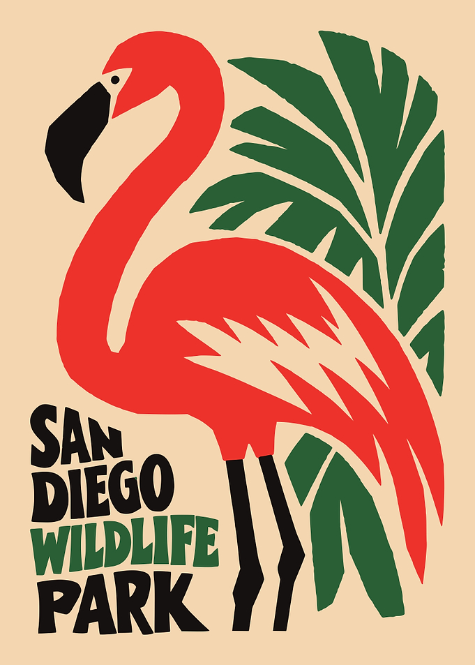 San Diego Wildlife Park Flamingo Poster