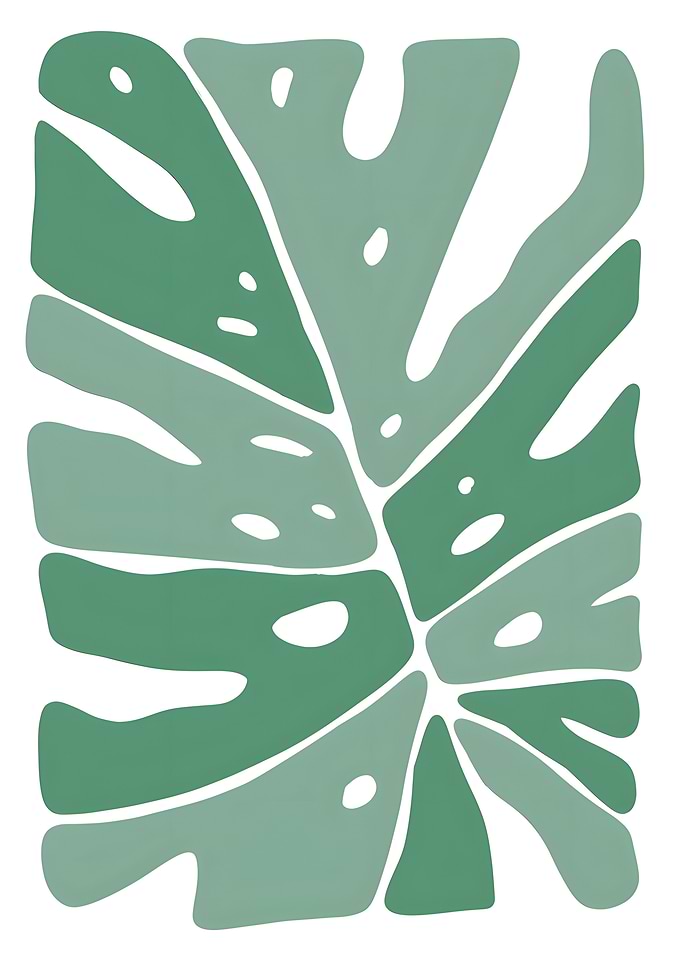 Minimalist Monstera Leaf Illustration