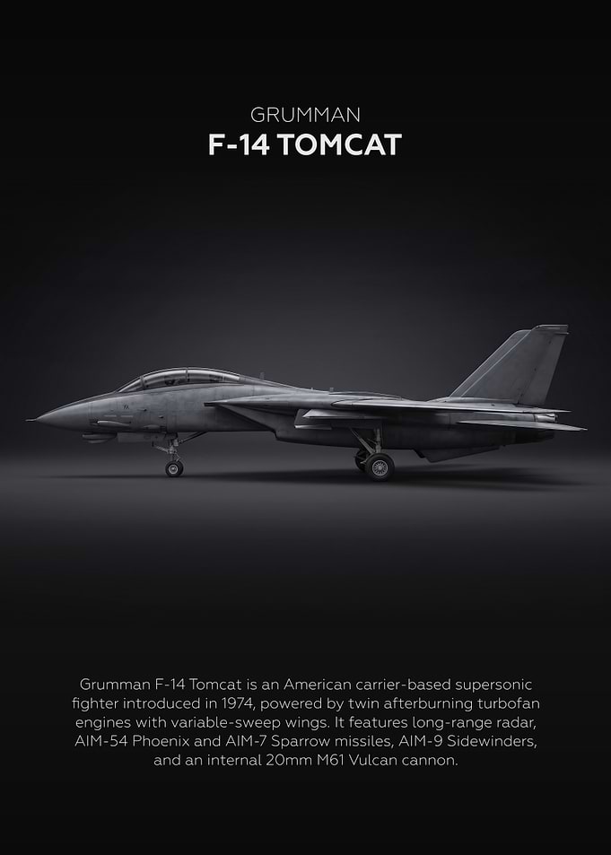 Side Profile Grumman F-14 Tomcat
