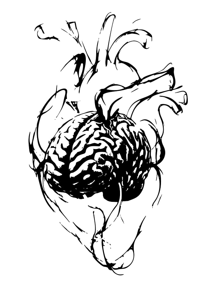 Brain and Heart Fusion Illustration
