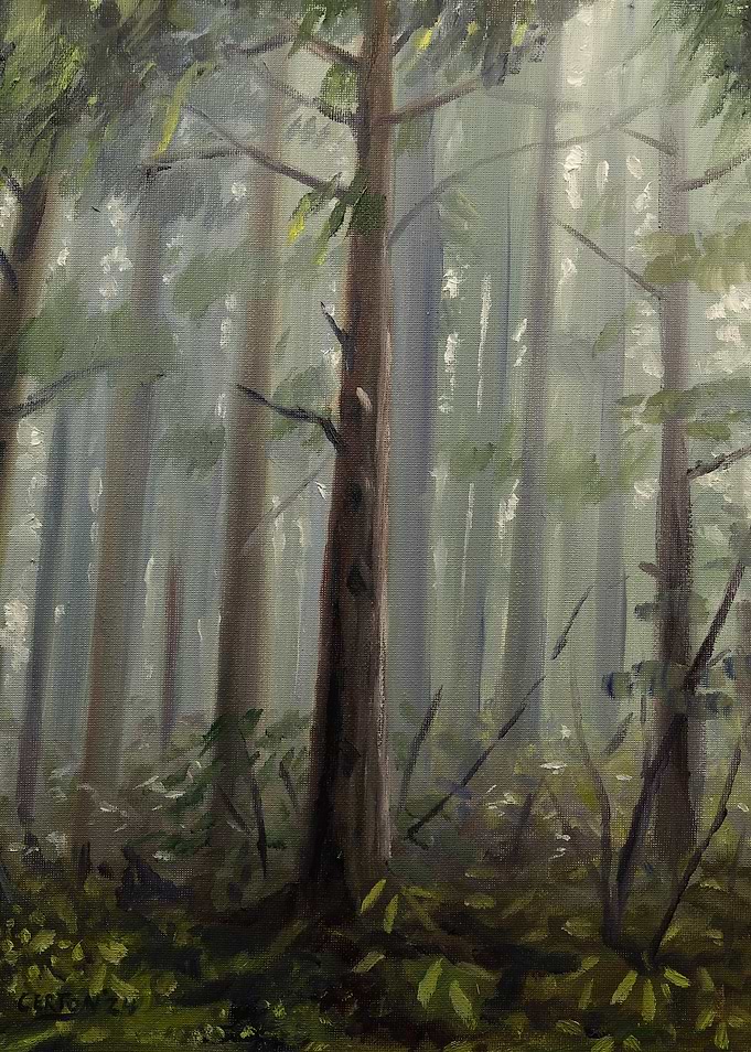 Misty Forest