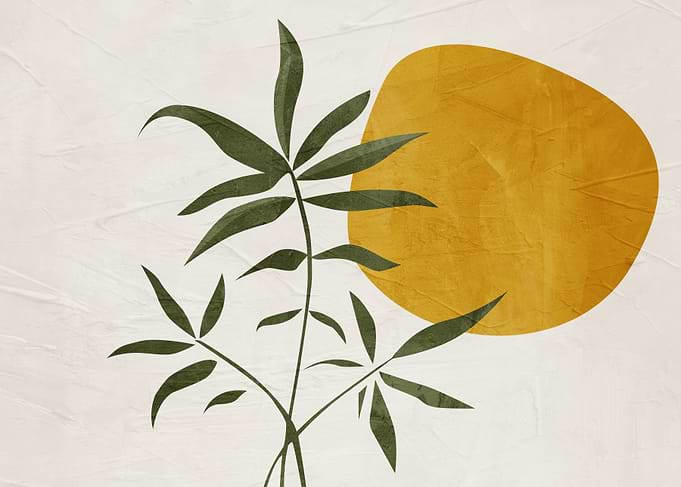 Minimalist Botanical Art with Golden Sun