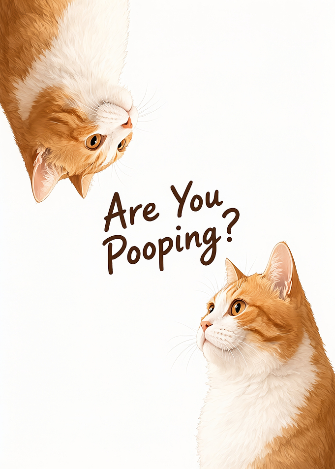 Funny Cat Bathroom Wall Art