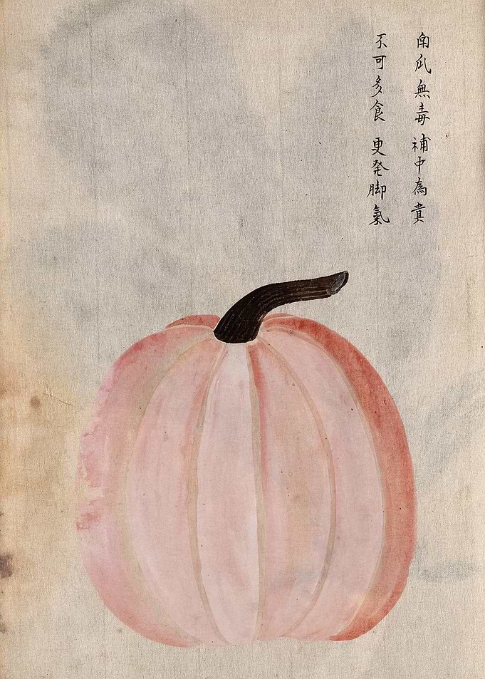 Traditional Chinese Ink Painting of Pumpkin