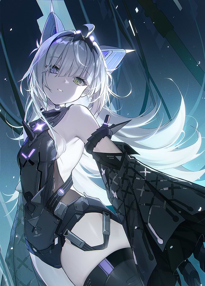 Punishing Gray Raven No 21