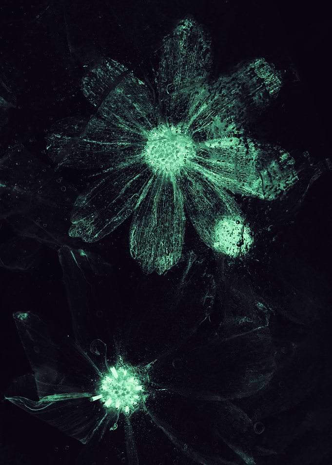 Glowing Green Floral Ice Art