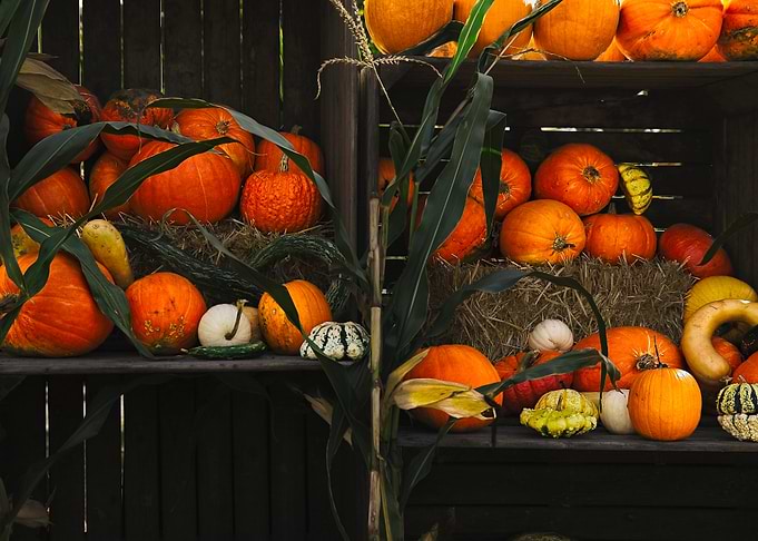 Rustic Autumn Pumpkin Display