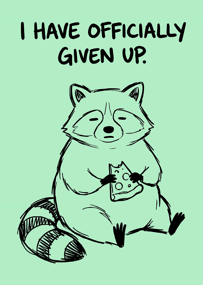 Funny Raccoon