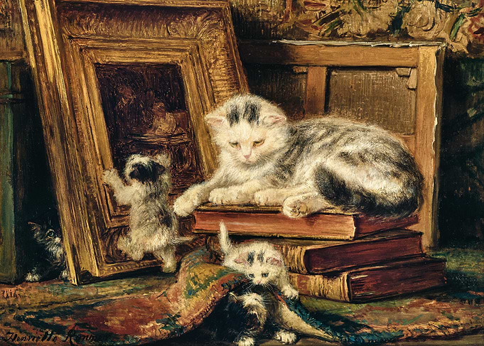 Kittens Playing with Books and Frames