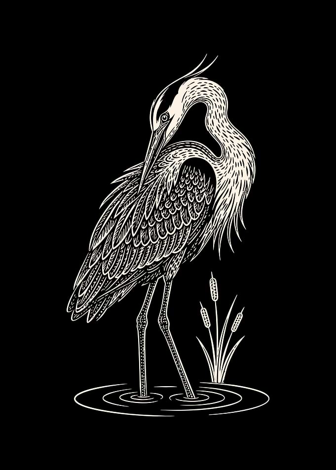 Elegant Heron Illustration