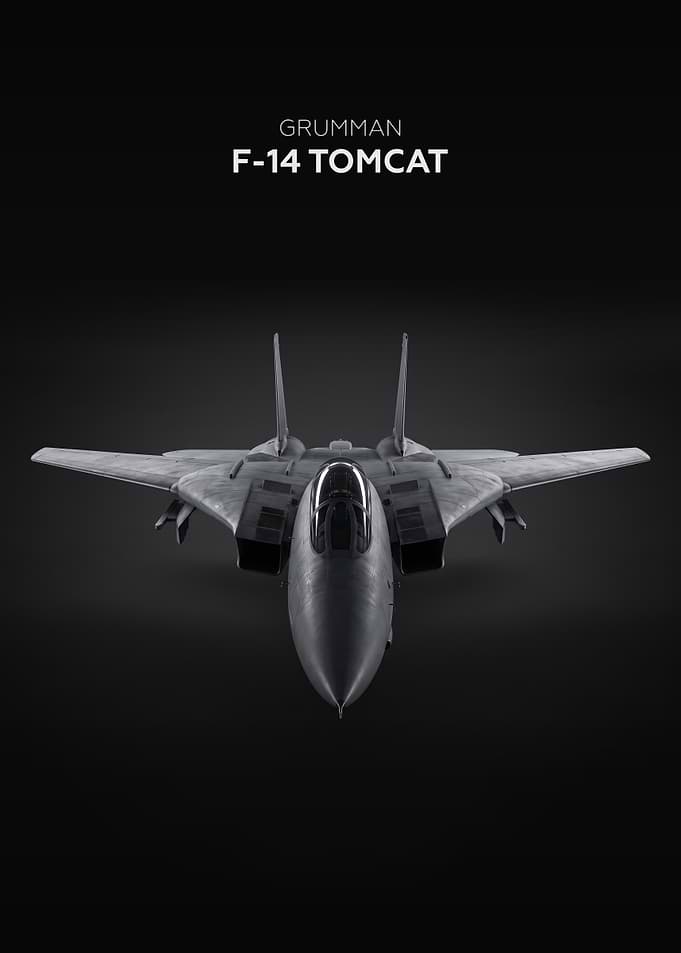Grumman F-14 Tomcat Minimalist Poster