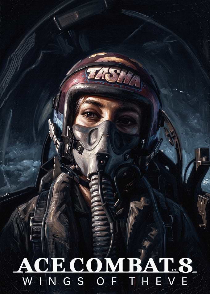 Ace Combat 8 Fighter Pilot Poster