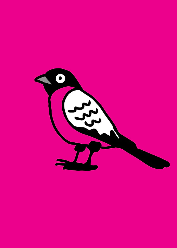 Minimalist Pink Bird Illustration