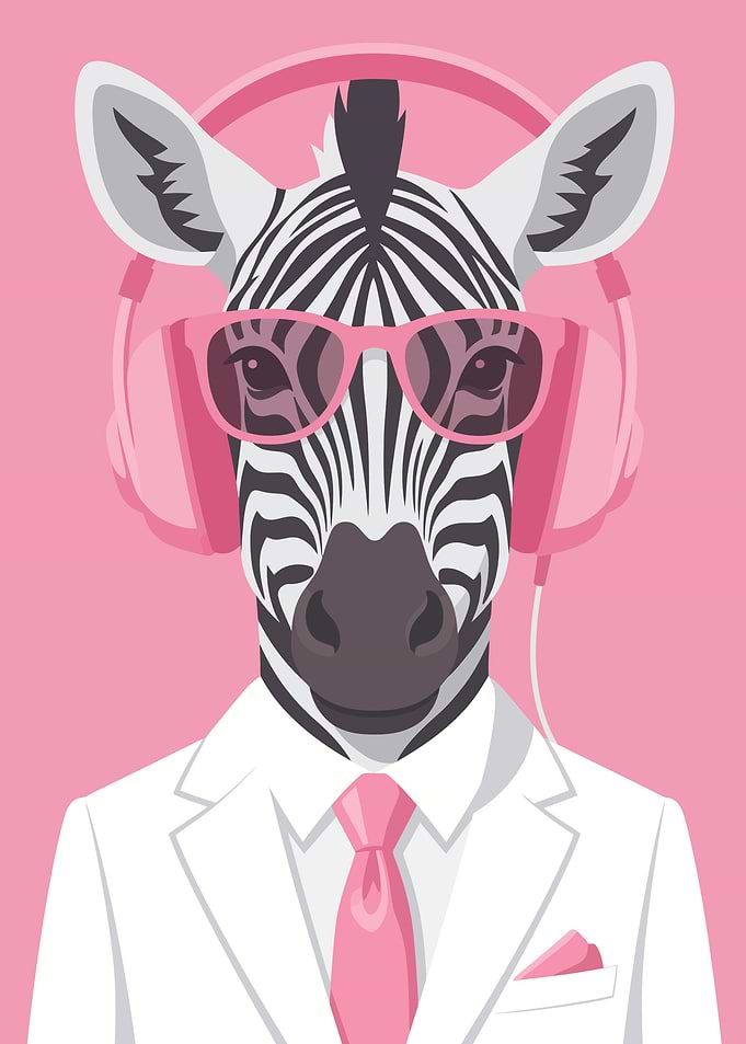 Stylish Zebra in Pink Accessories