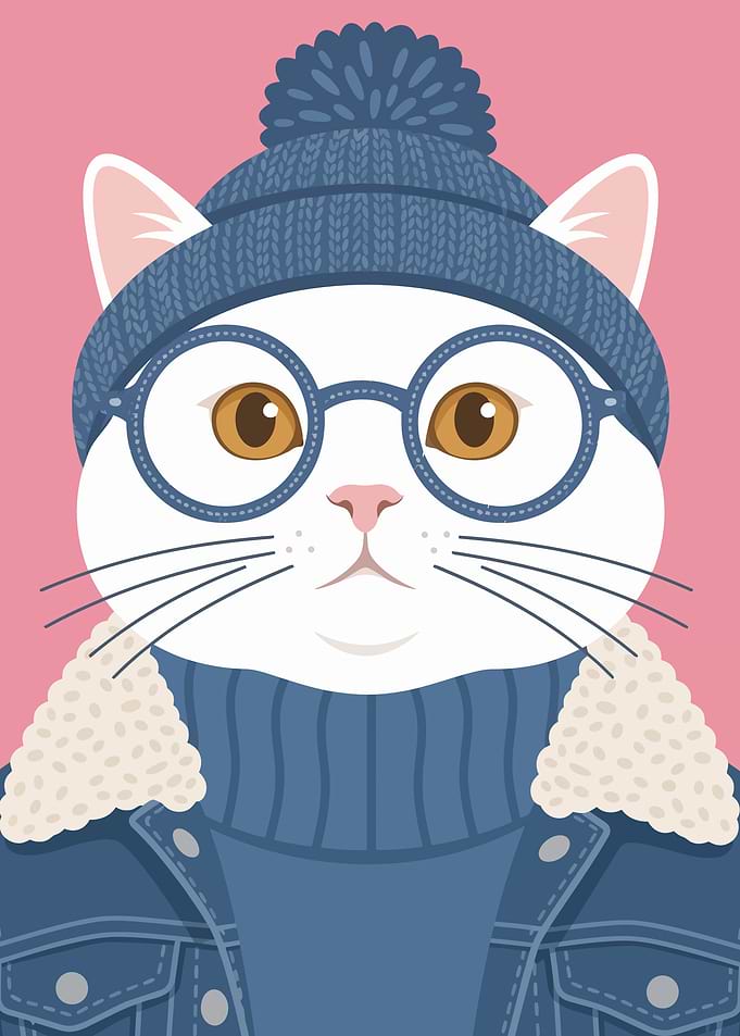 Stylish Cat in Winter Gear