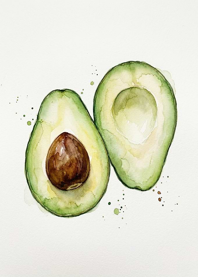 Watercolor Avocado Halves Illustration