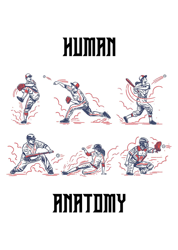 Human Anatomy Baseball Player