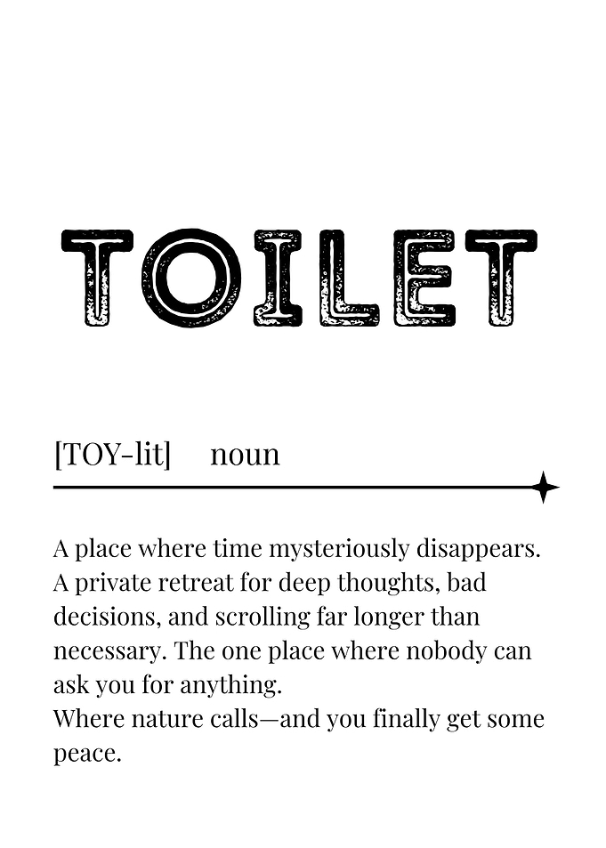 Humorous Toilet Definition