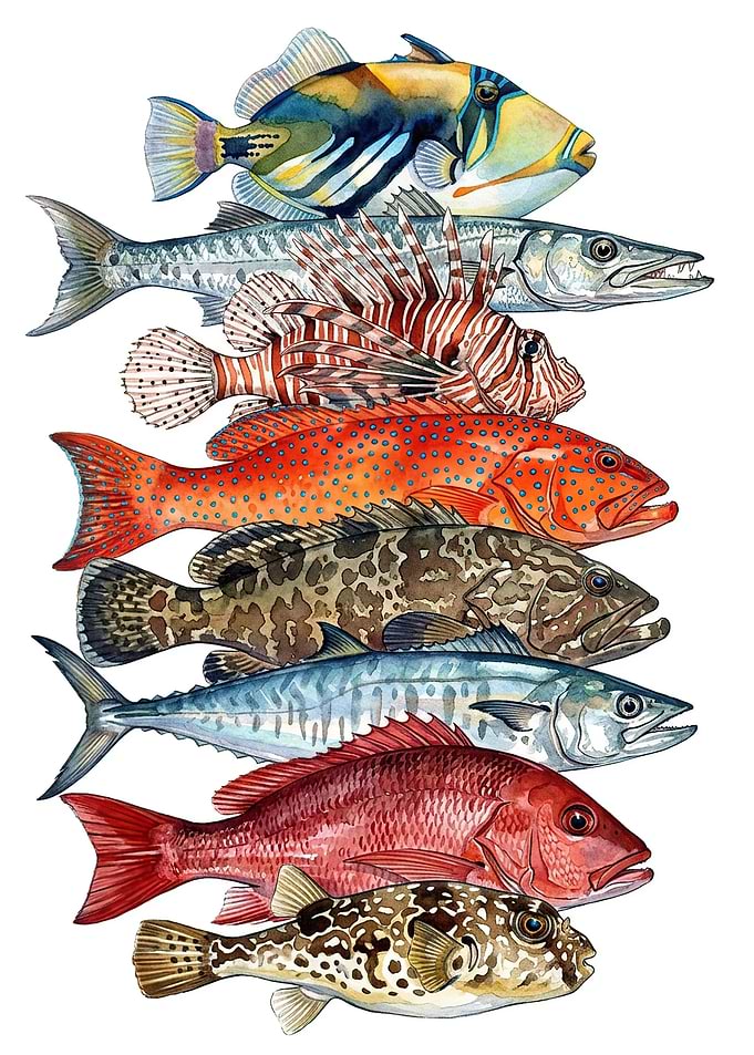 Watercolor Illustration of Tropical Fish