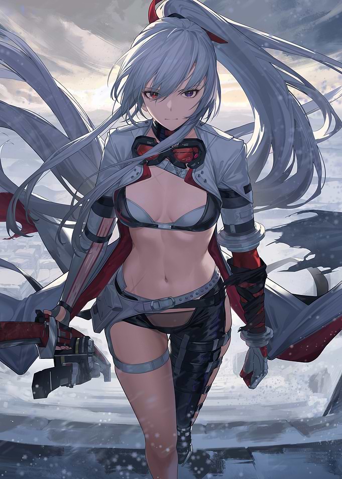 Punishing Gray Raven Alpha