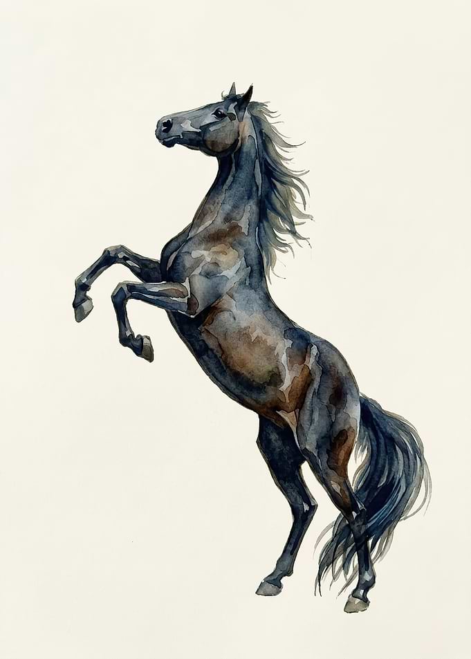 Watercolor Rearing Black Horse Illustration