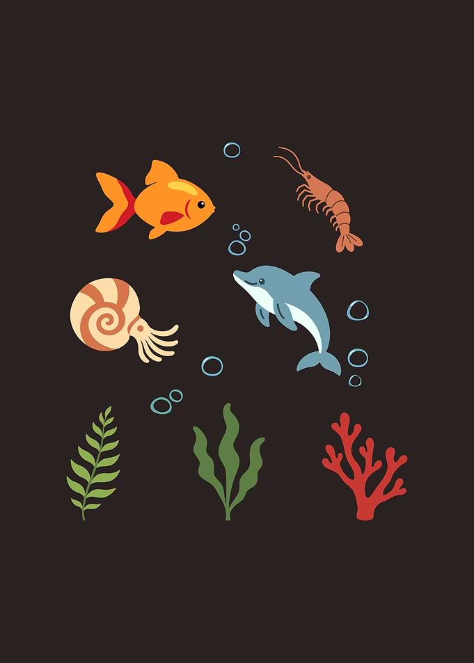 Fish Underwater Kids Shrimp Nautilus