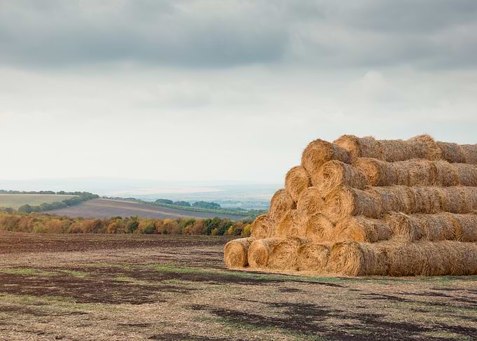 Stacked Hay Bales in Autumn Field