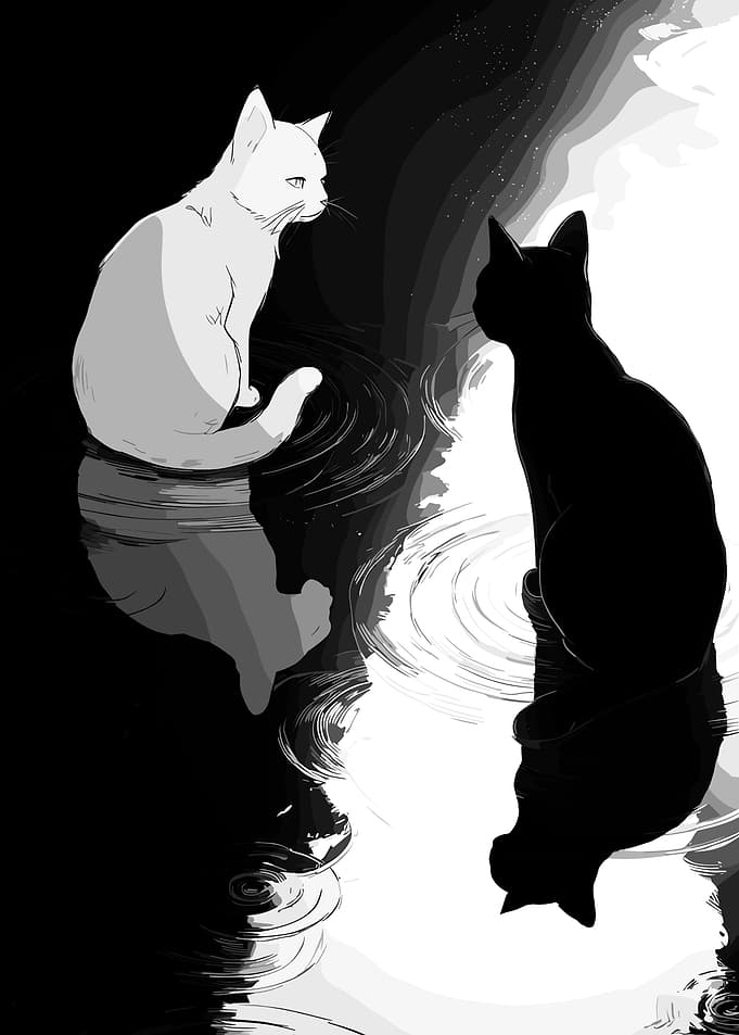 Black and White Cat Yin Yang