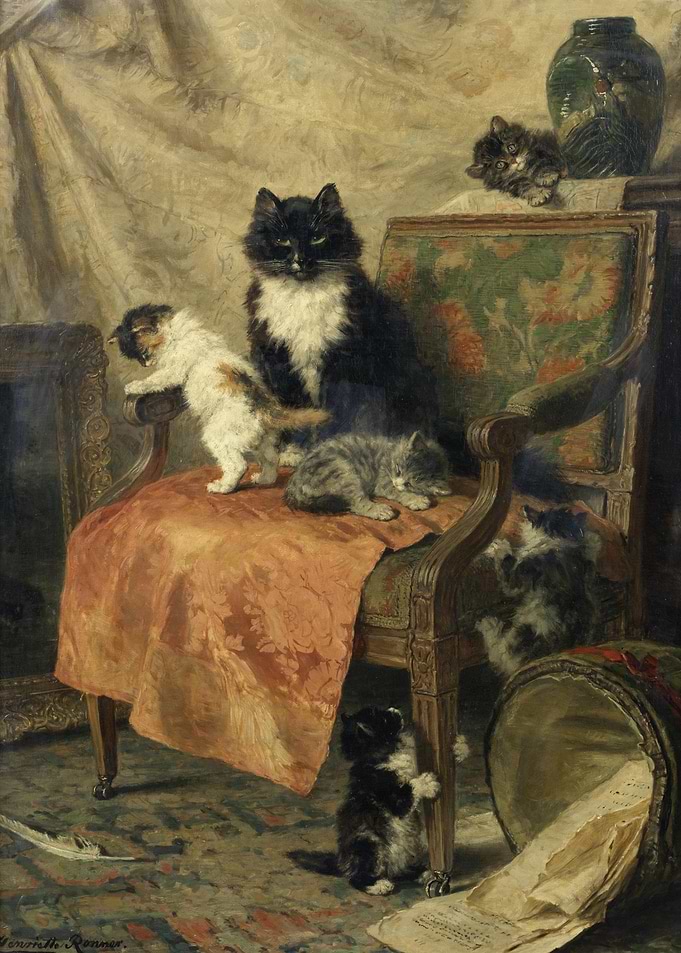Kittens at Play