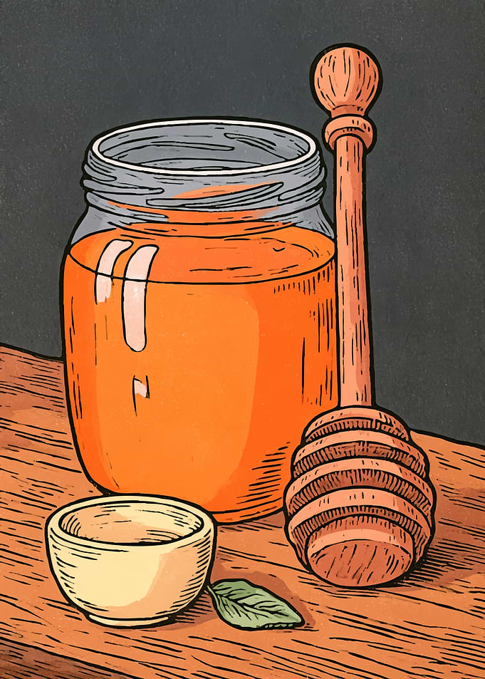 Honey Jar and Dipper Illustration