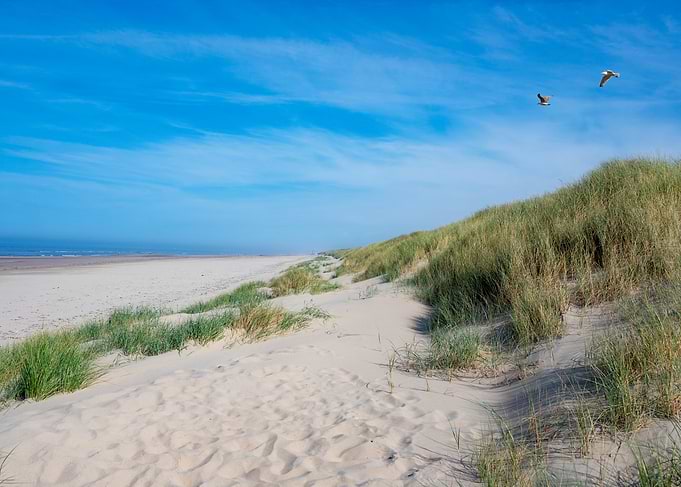 Sandy Beach Dunes and Blue Sky