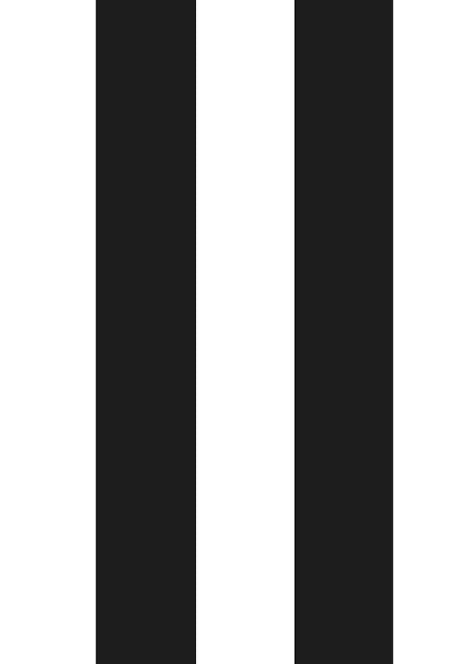 Minimalist Black and White Stripes