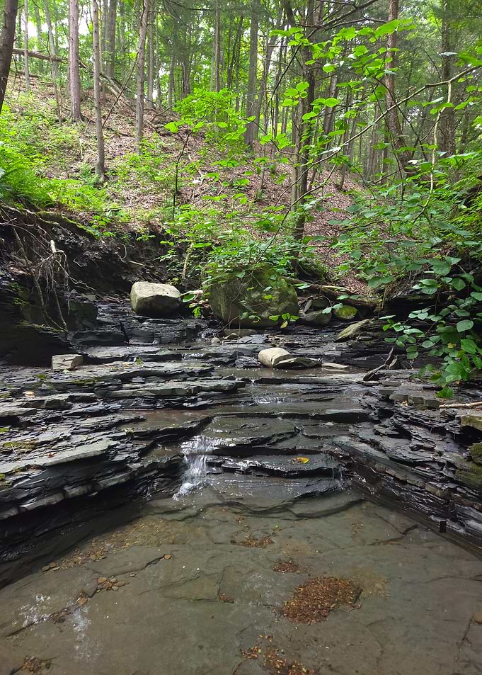 Small Forest Stream Over Layered Rocks