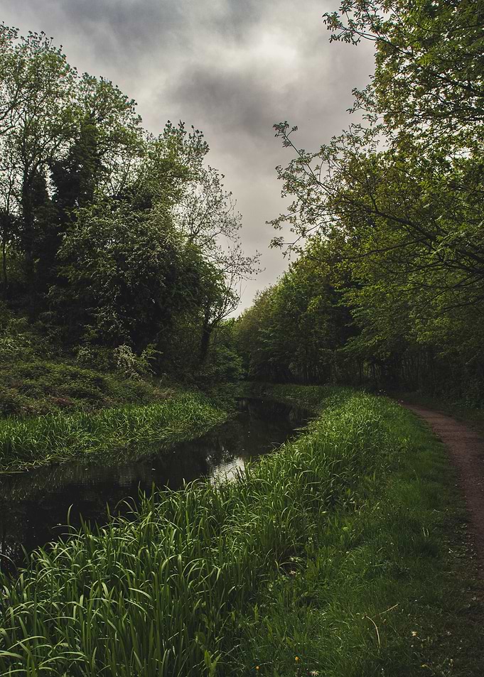 Serene Canal Path Under Cloudy Sky