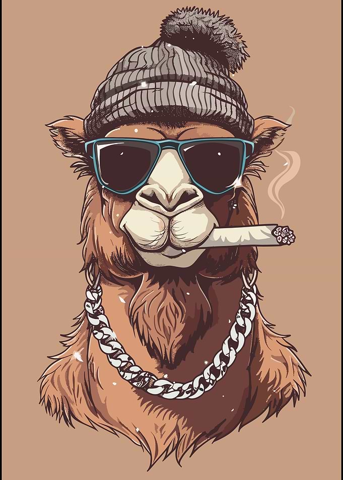 Cool Camel with Sunglasses and Chain