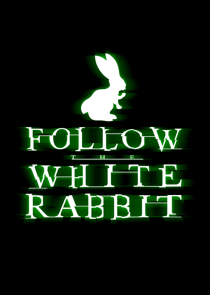 Follow The White Rabbit