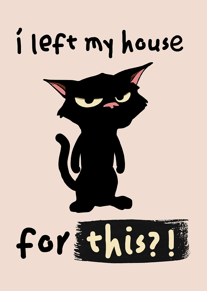I Left My House For This Cat