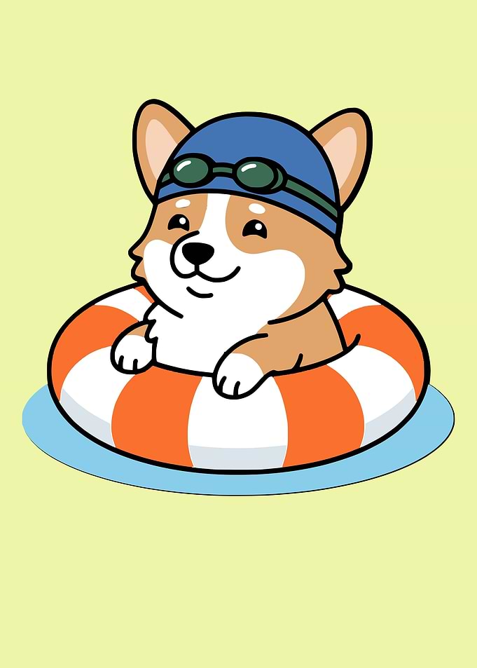 Cute Corgi in Swimming Float