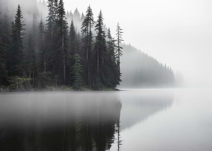 Misty Forest Lake Reflection