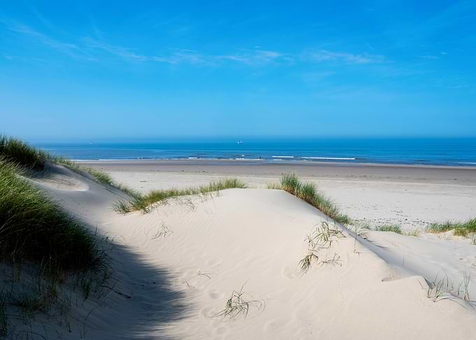 Serene Coastal Sand Dunes