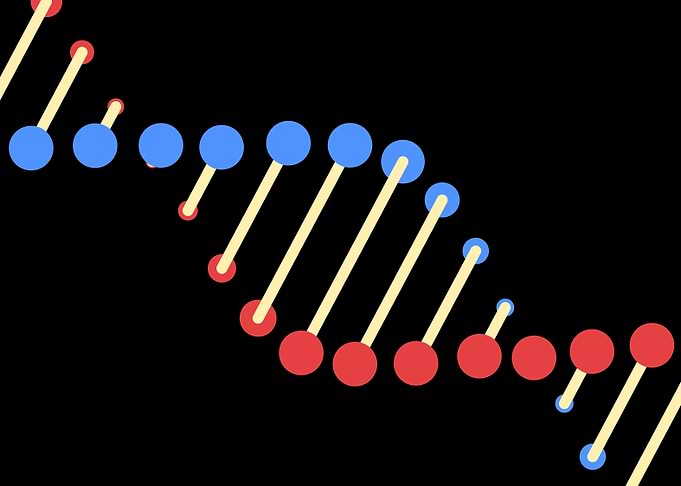 Minimalist DNA Double Helix Illustration