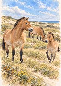 Przewalski Horses in Coastal Dunes