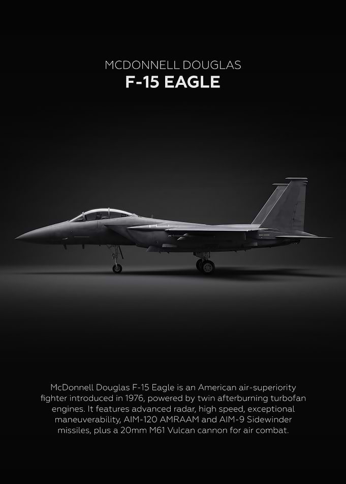 McDonnell Douglas F-15 Eagle Poster