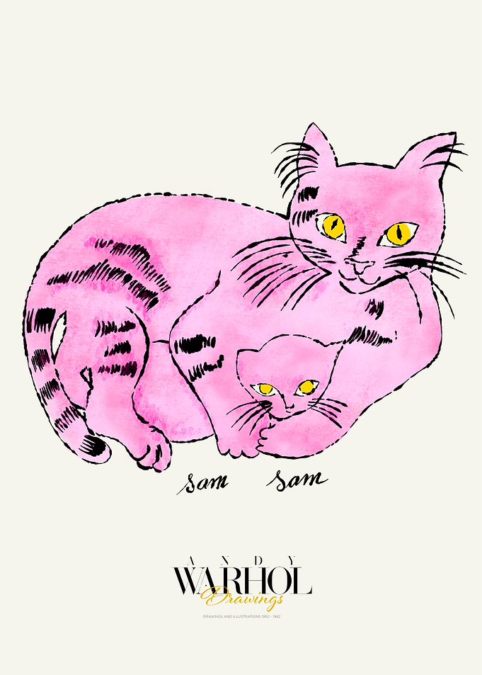 Warhol Drawings | Sam Sam Pink