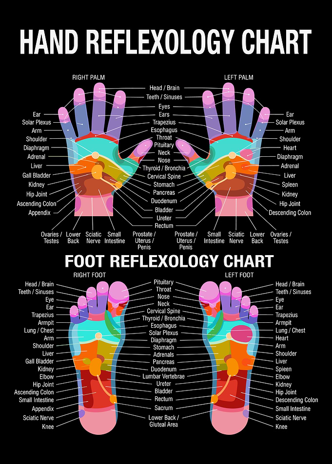 Hand and Foot Reflexology Chart